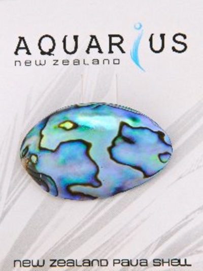 PAUA POD BROOCH