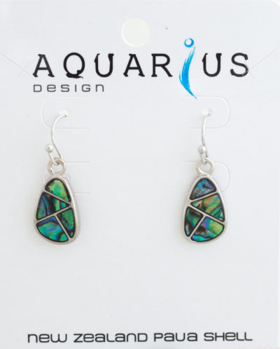 PAUA SECTIONED TEARDROP HOOK EARRING