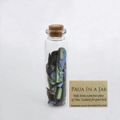 PAUA CHIPS IN A BOTTLE - LARGE