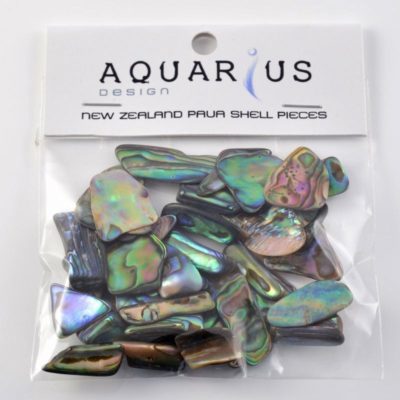 PAUA CHIPS - 20G BAG